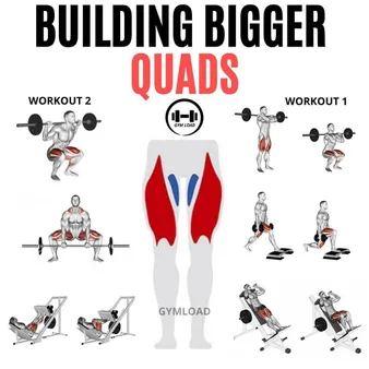 Exercises to build up quads sale